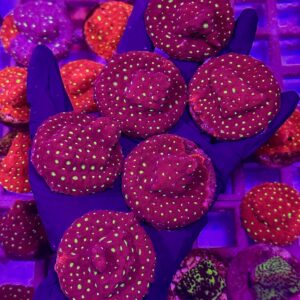 Favites Pentagona Dark Red – Фавітес Пентагона